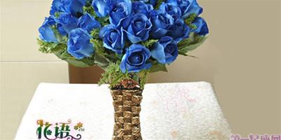 藍玫瑰、藍色妖姬的花語及含義解析