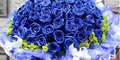 99朵藍玫瑰花語：要和你廝守一輩子