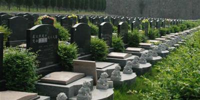 公墓風水如何選擇？瞭解墓地的特點