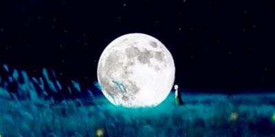 12星座07月水瓶滿月月食的影響！