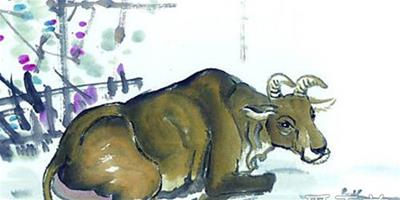 1997年屬牛的人2019年運勢運程