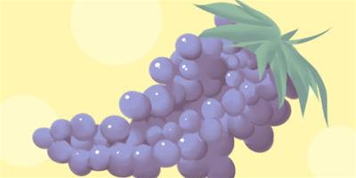 夢見葡萄樹上摘葡萄吃是什么意思