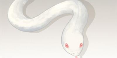夢見蛇會懷孕是真的嗎