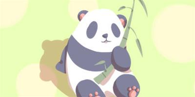夢見大熊貓是什么預兆