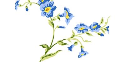 梦见蓝色花是什么意思