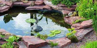 在庭院中修建水池要注意哪些問題？建水池的要點