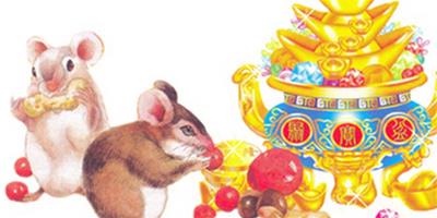 2017年生肖運勢：1960年屬鼠人事業運勢