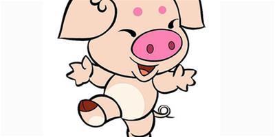 生肖豬是怎麼談戀愛