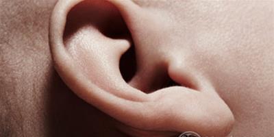 雞嘴耳和抱腮耳的區別是什麼